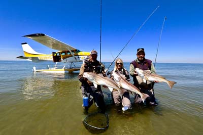 Popular Louisiana fishing charter pilot Theophile Bourgeois killed